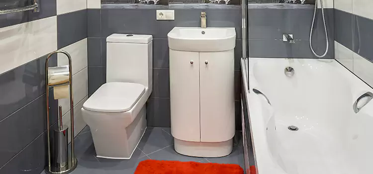 Hansgrohe Shaving Mirror Beckley